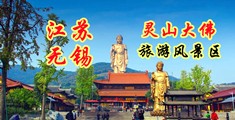 免费视频插屄江苏无锡灵山大佛旅游风景区